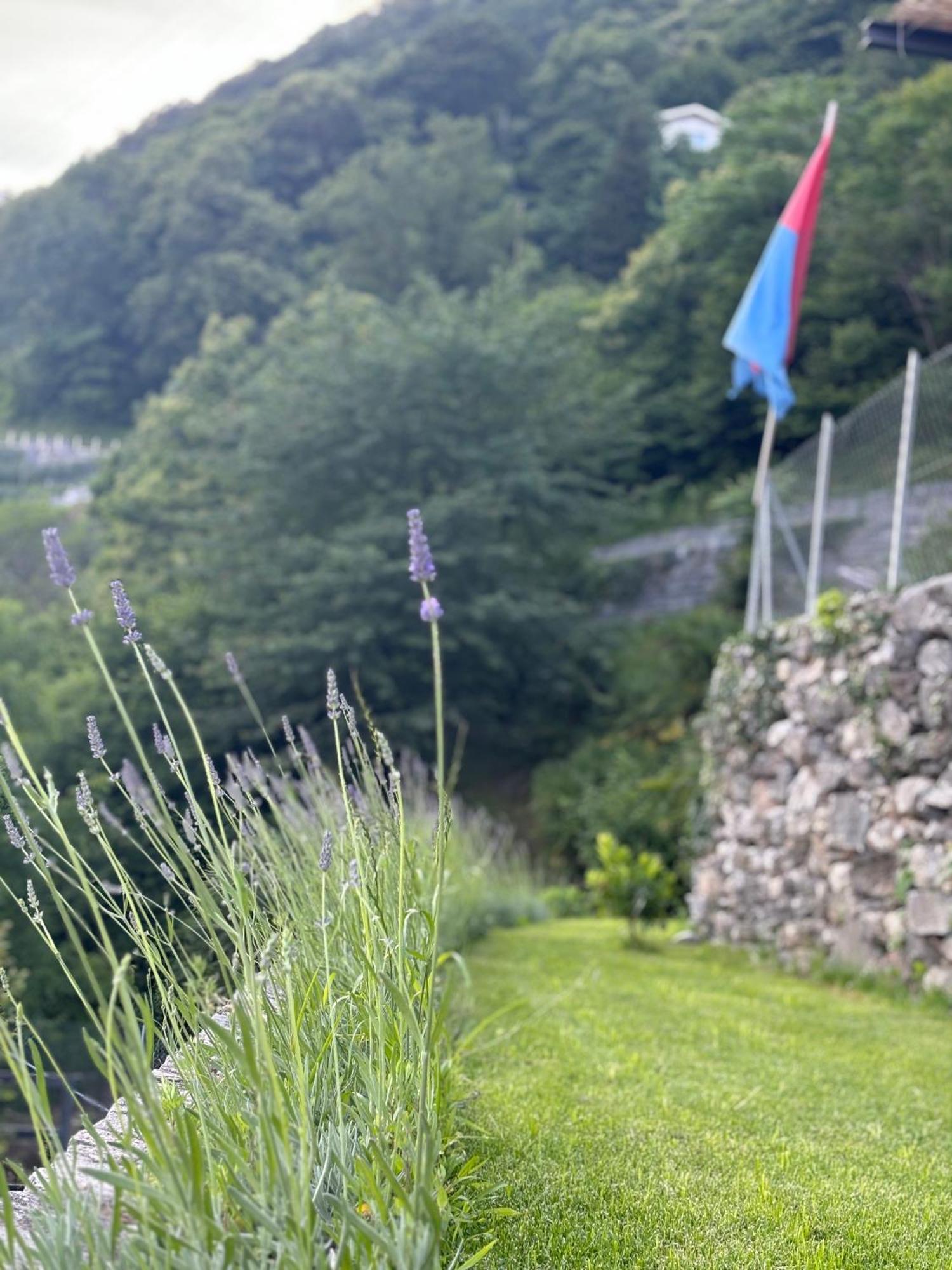 Ca'Gialla Bellinzona Exteriör bild